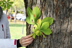 Komárňanská fotografia našimi očami 042